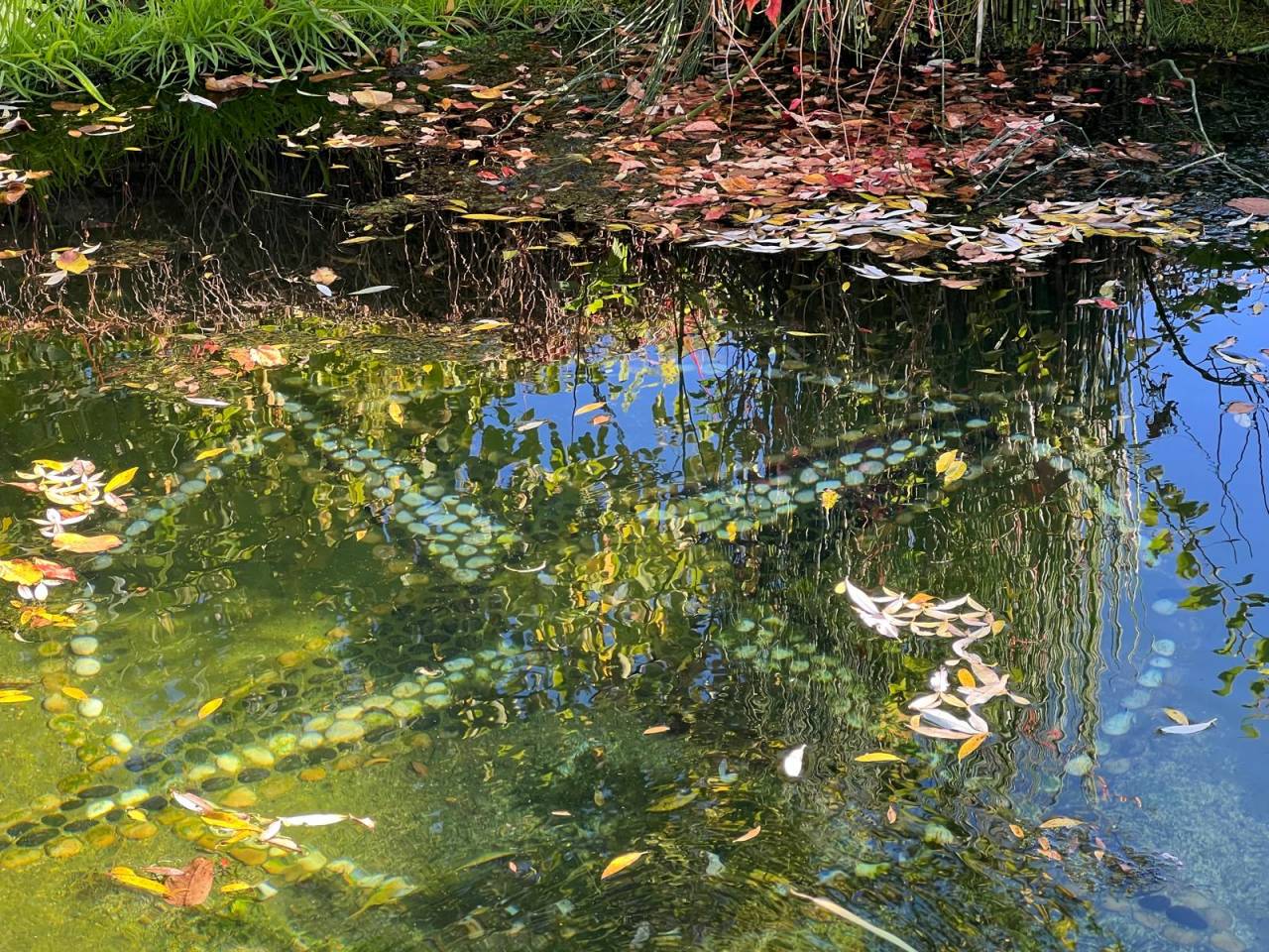 Country house  Creuse