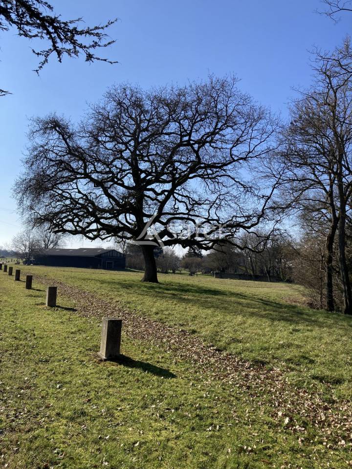 Equestrian property  Lot-et-Garonne