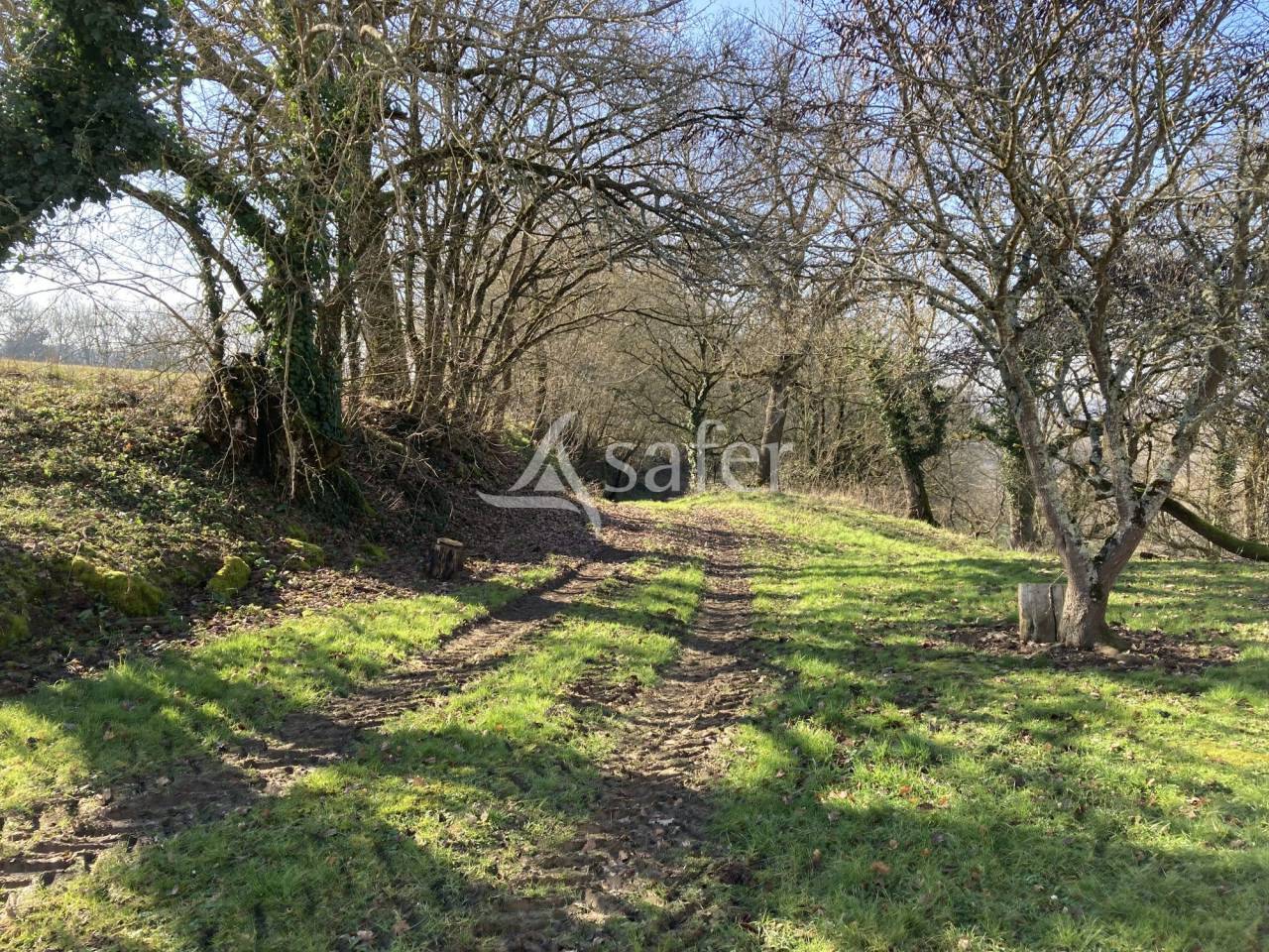 Equestrian property  Lot-et-Garonne