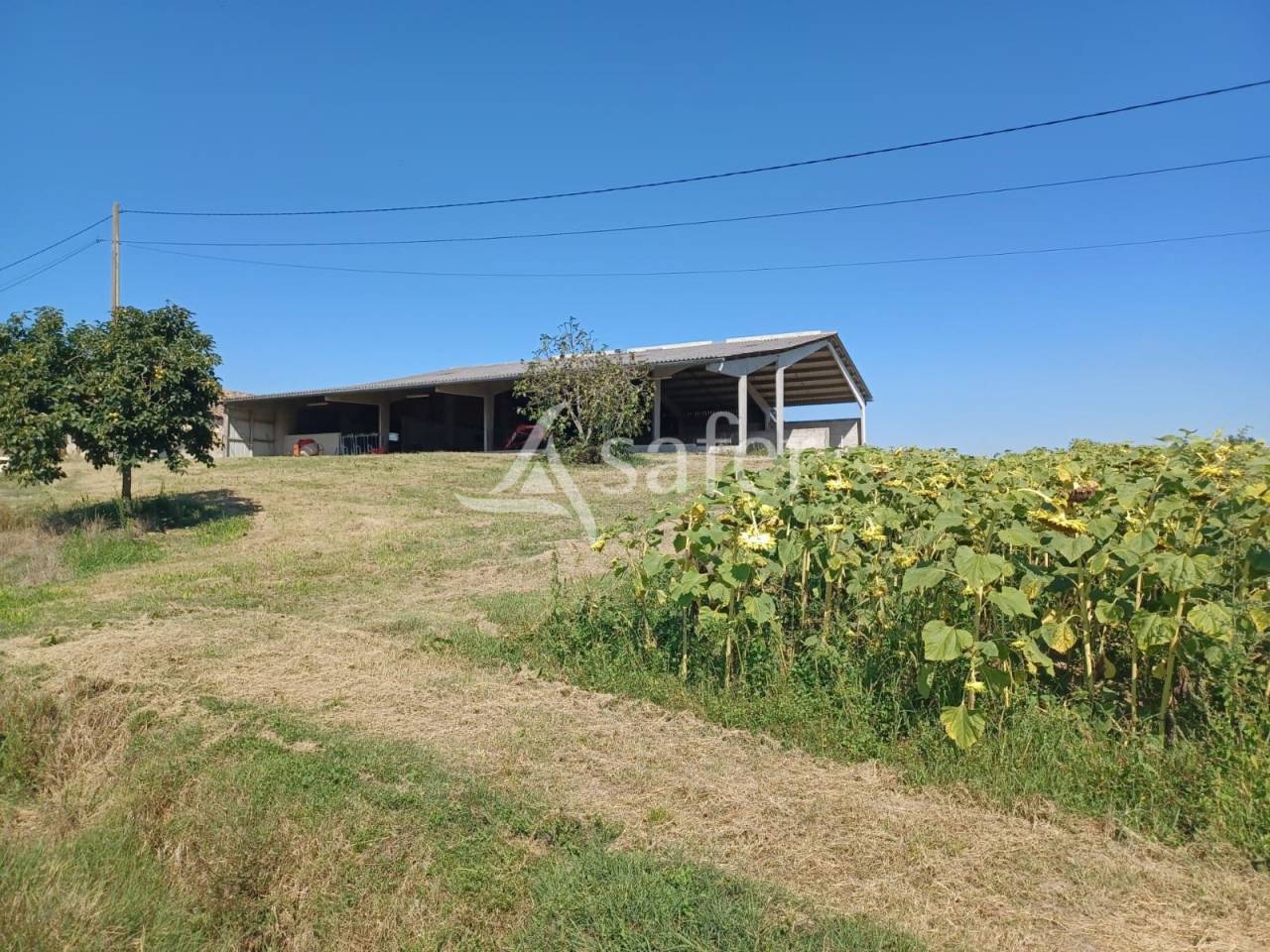 Other agricultural property  Lot-et-Garonne