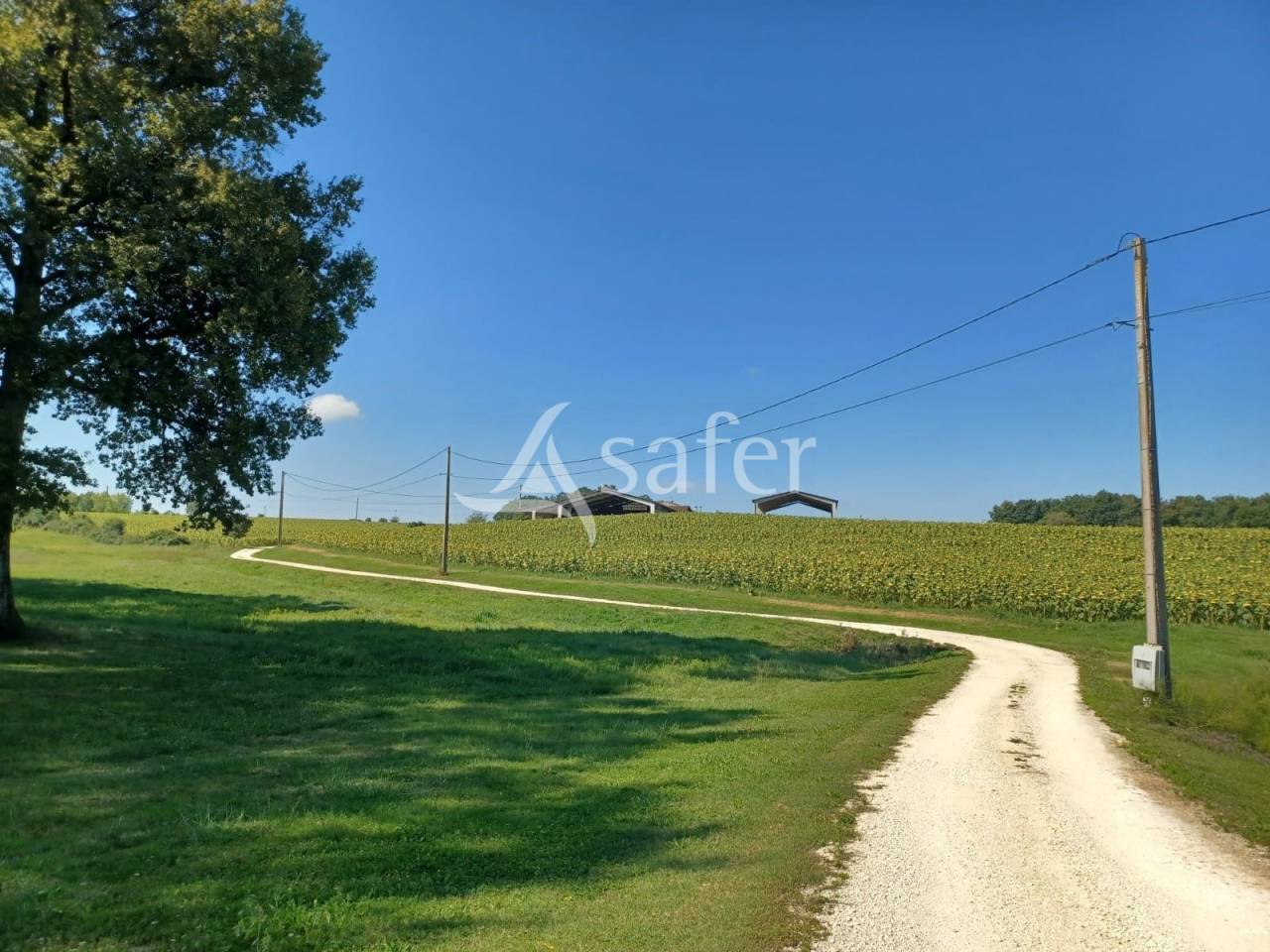 Other agricultural property  Lot-et-Garonne