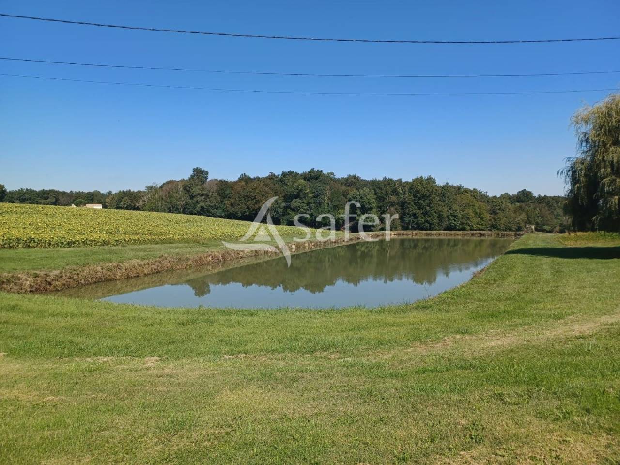 Other agricultural property  Lot-et-Garonne