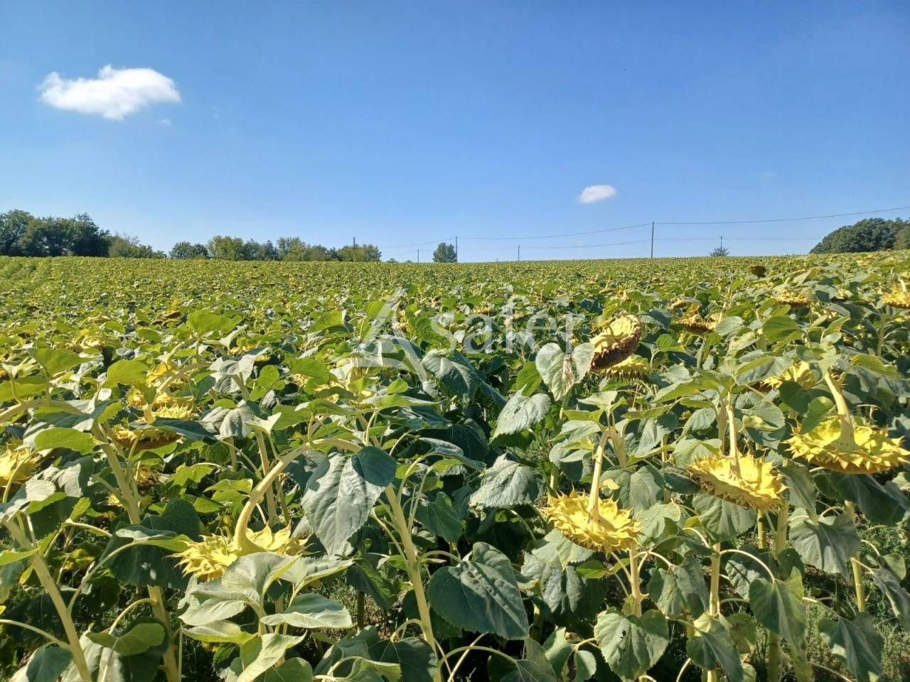 Other agricultural property  Lot-et-Garonne