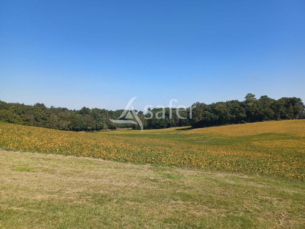 Other agricultural property  Lot-et-Garonne