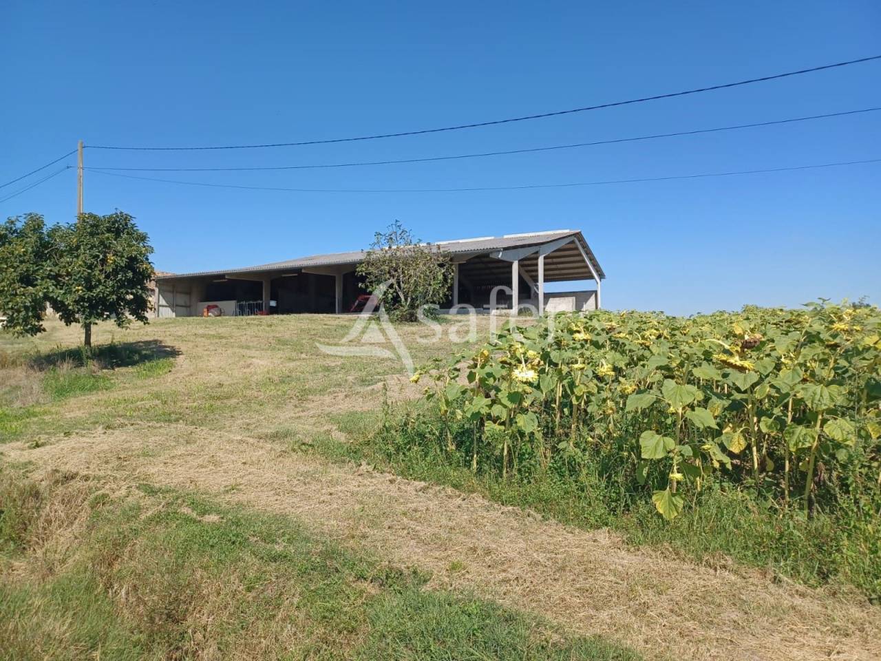 Other agricultural property  Lot-et-Garonne