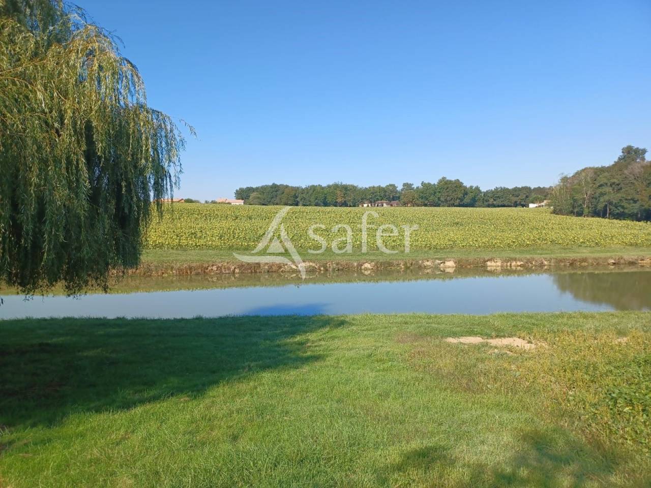 Other agricultural property  Lot-et-Garonne