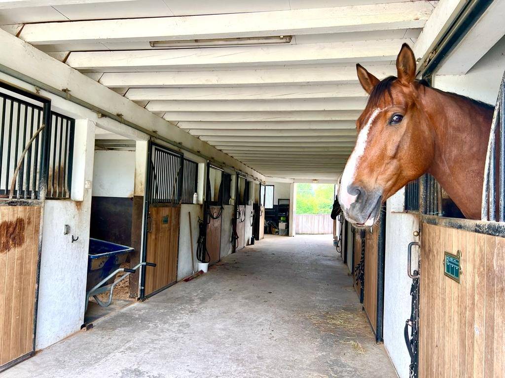 Equestrian property  Pyrénées-Atlantiques