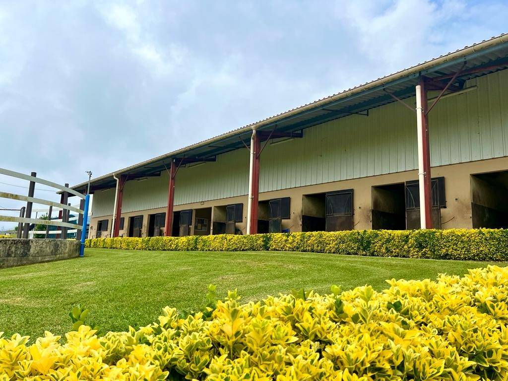 Equestrian property  Pyrénées-Atlantiques