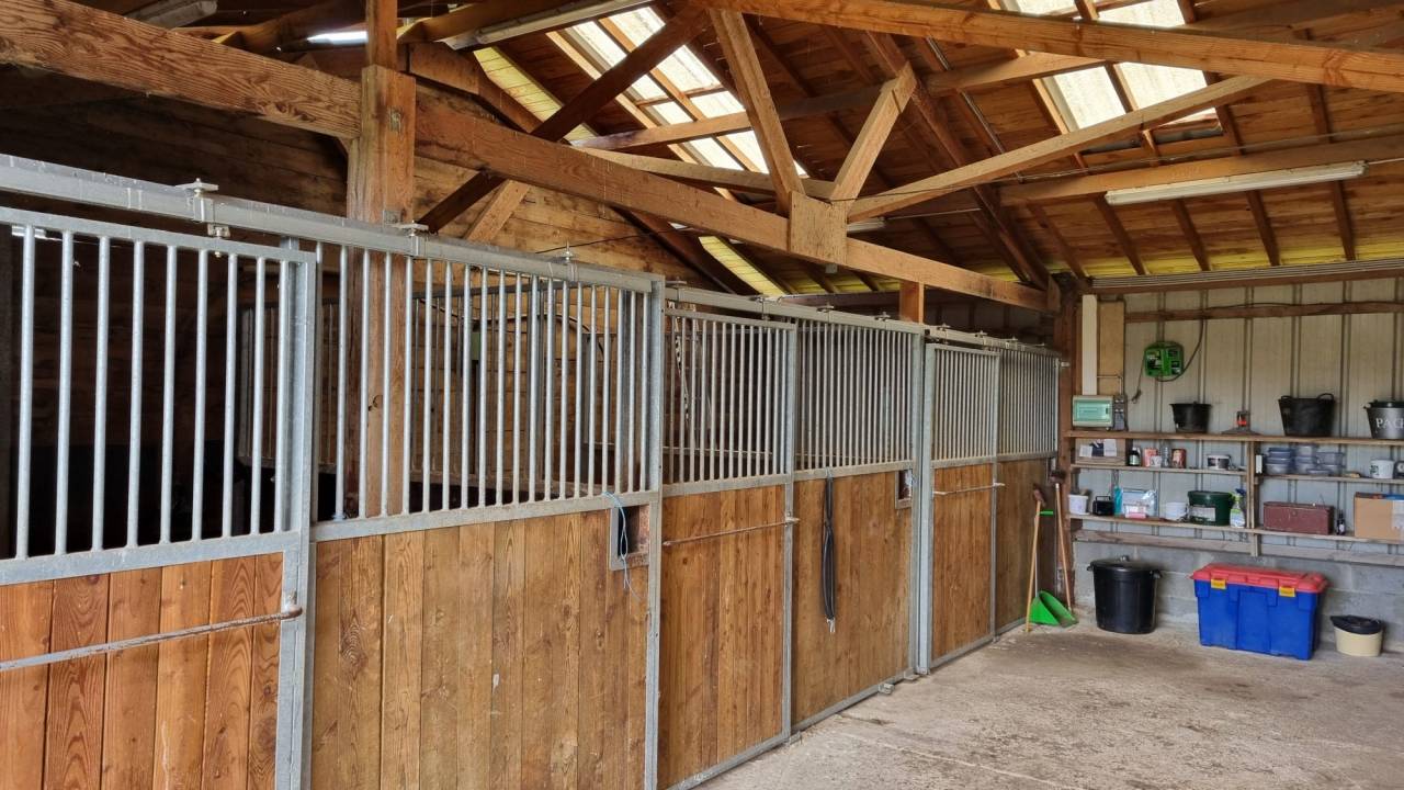 Equestrian property  Allier