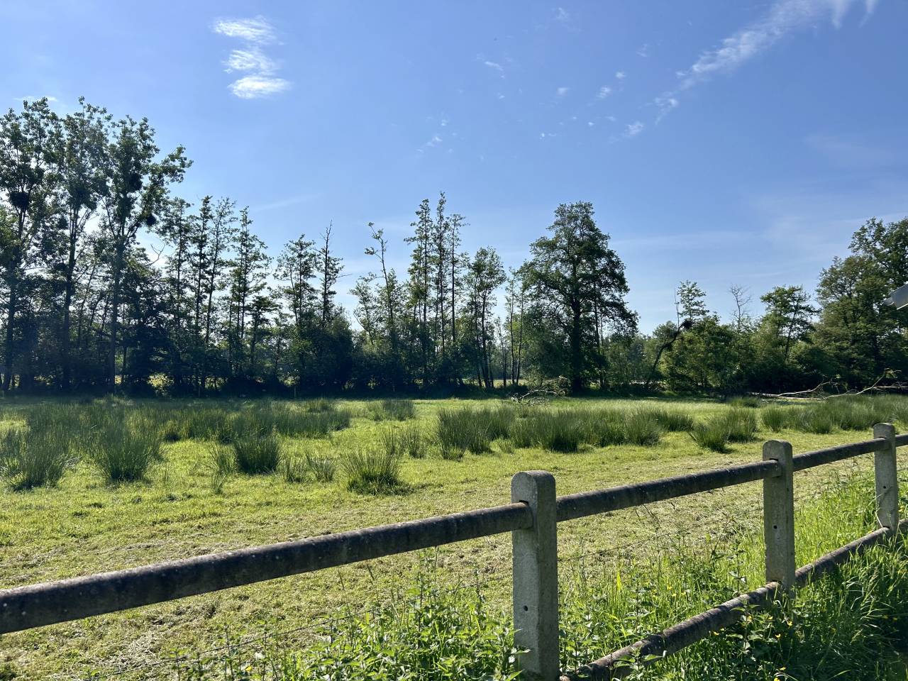 Luxurious equestrian property  Morbihan