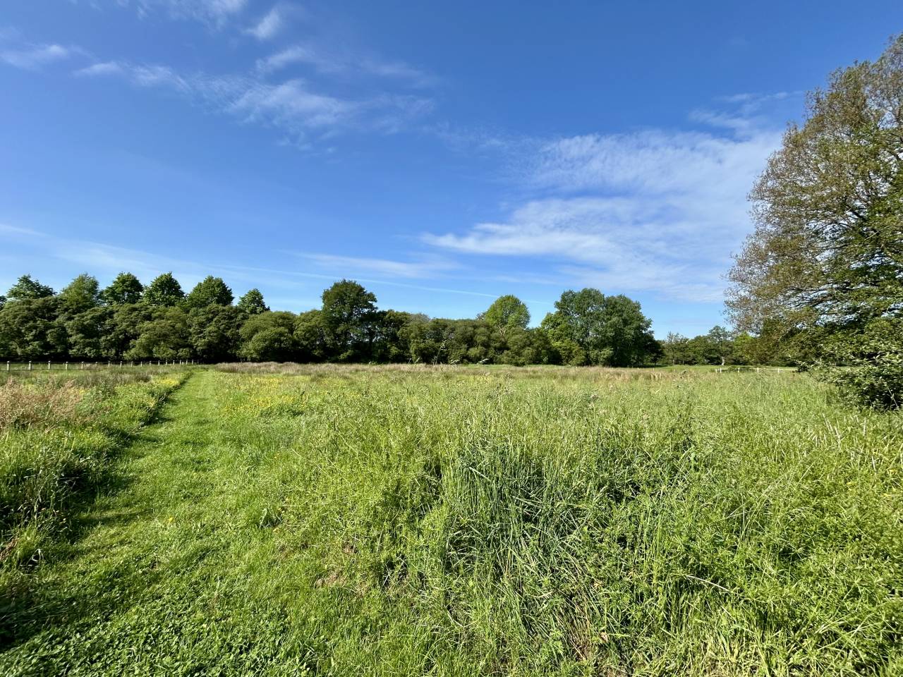 Luxurious equestrian property  Morbihan