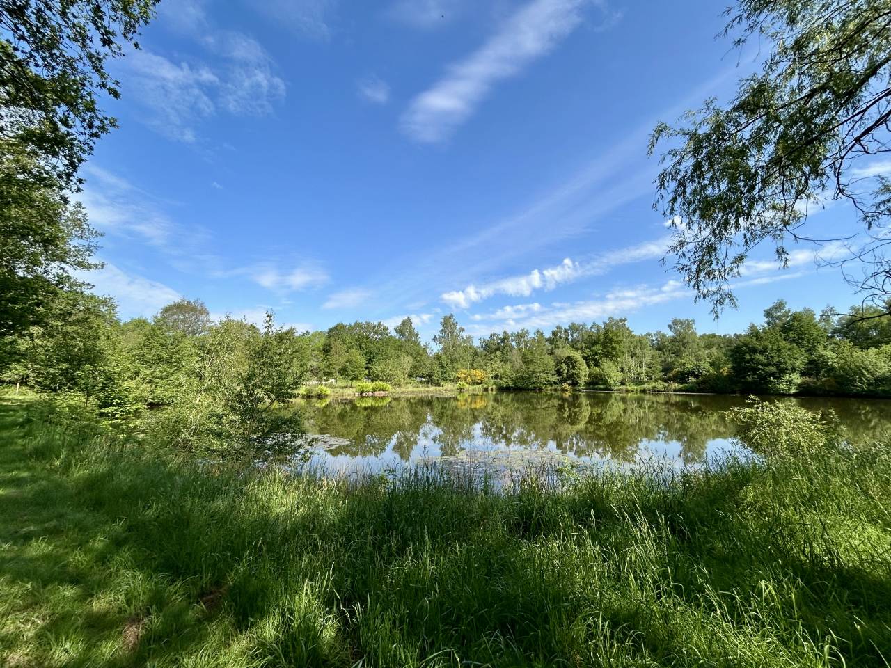 Luxurious equestrian property  Morbihan