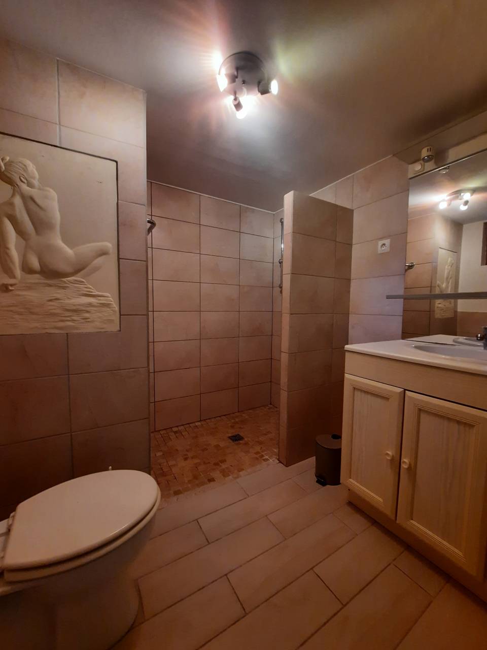 Luxurious equestrian property  Charente-Maritime