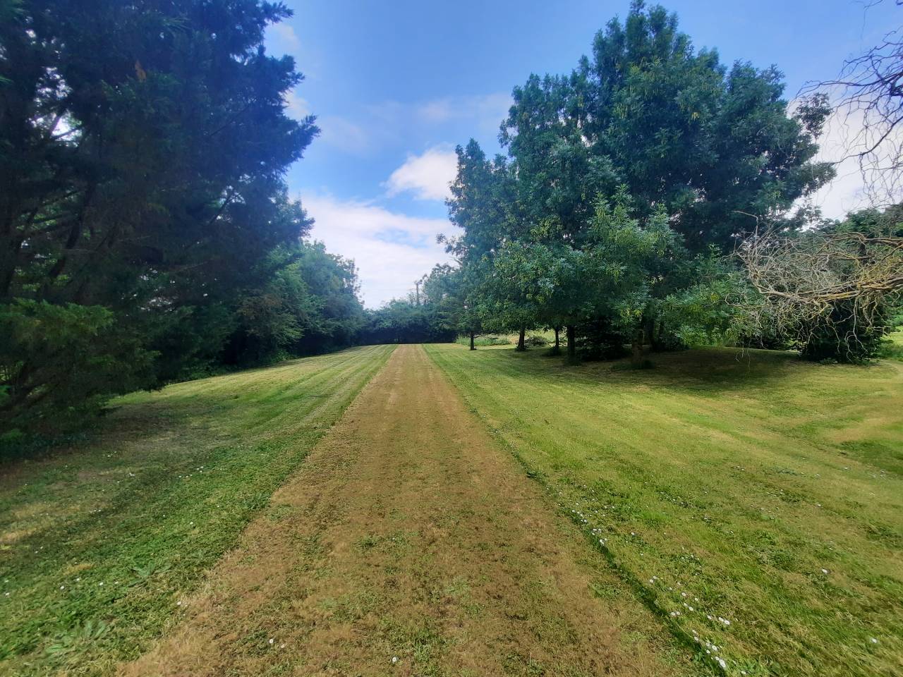 Luxurious equestrian property  Charente-Maritime
