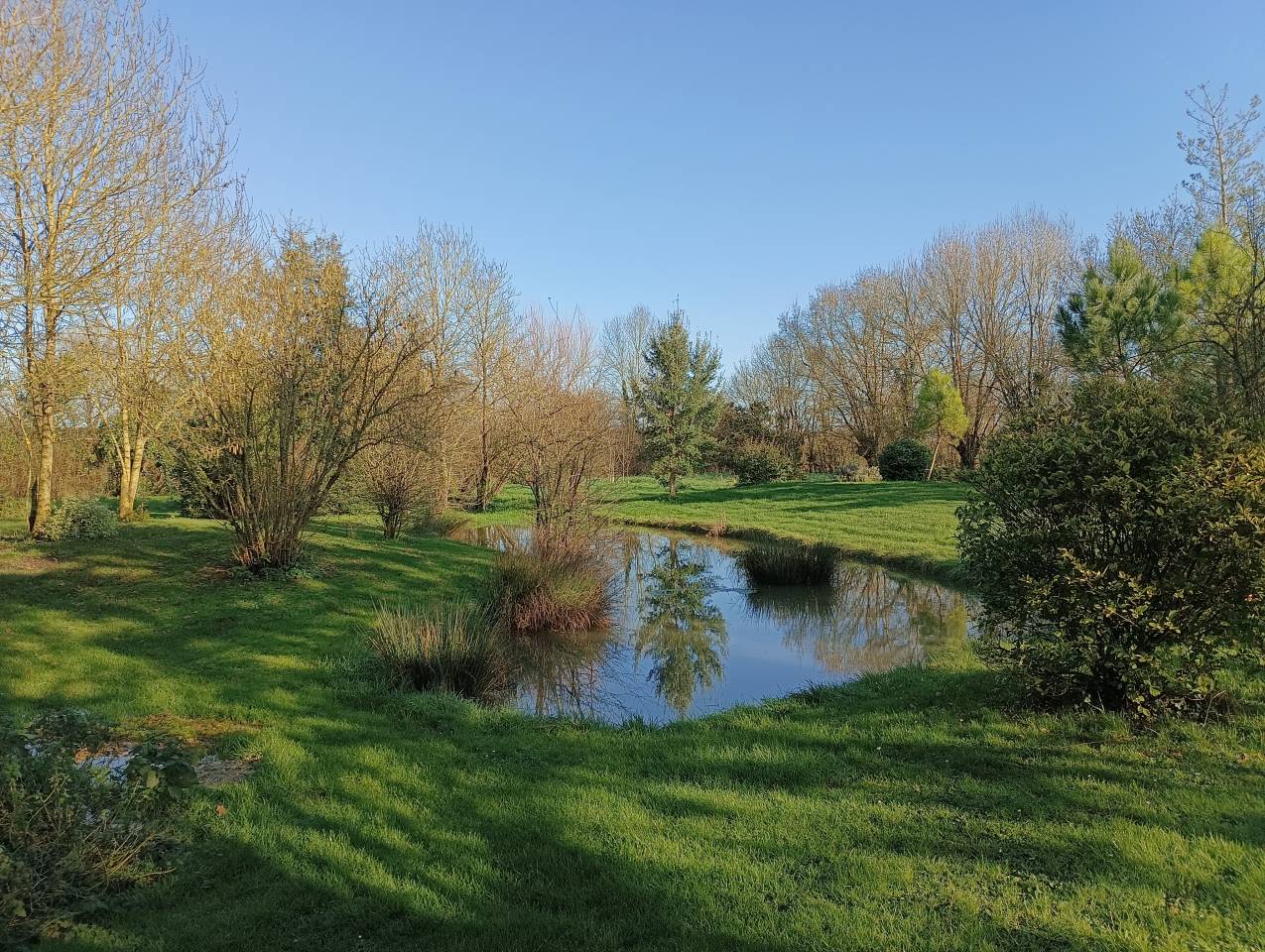 Luxurious equestrian property  Charente-Maritime