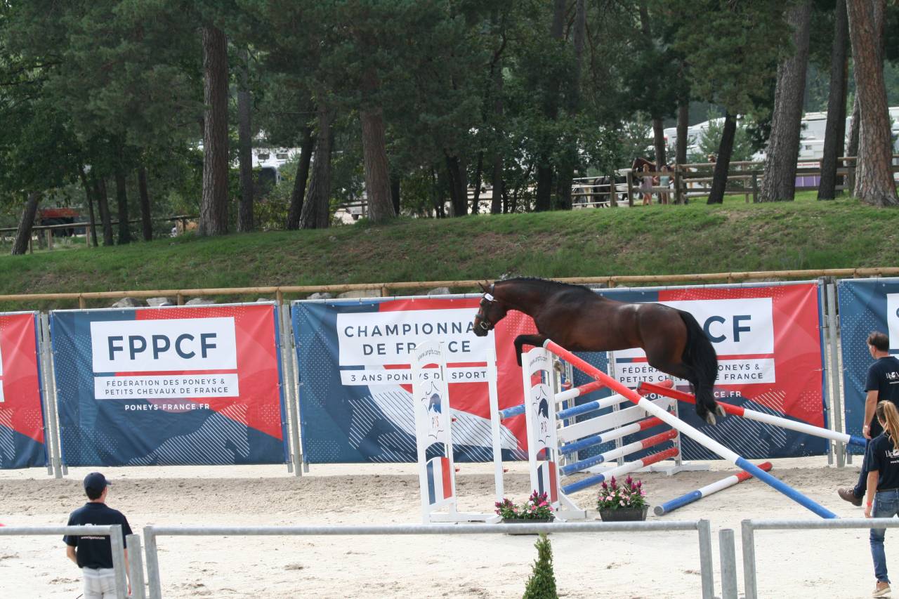 KENPACHI EBC - Connemara 2020