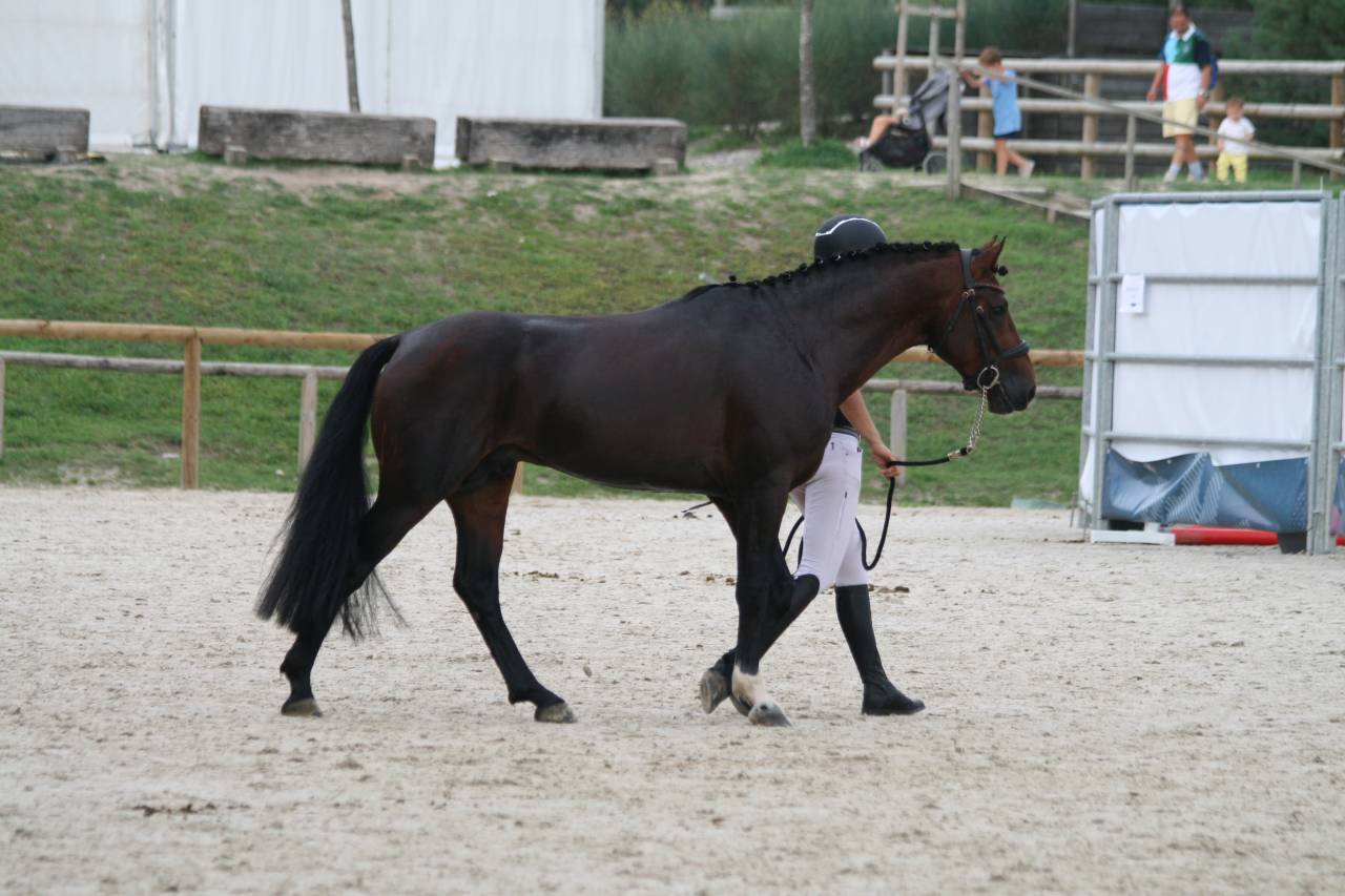 KENPACHI EBC - Connemara 2020