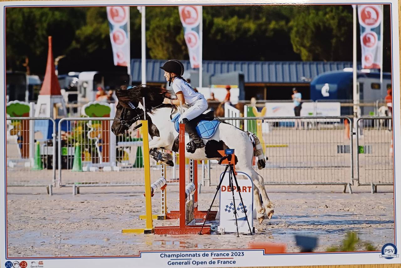 INEDIT DES ISLES - Shetland Pony 2018