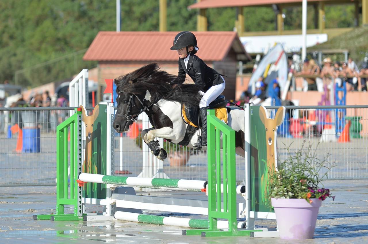 INEDIT DES ISLES - Shetland Pony 2018