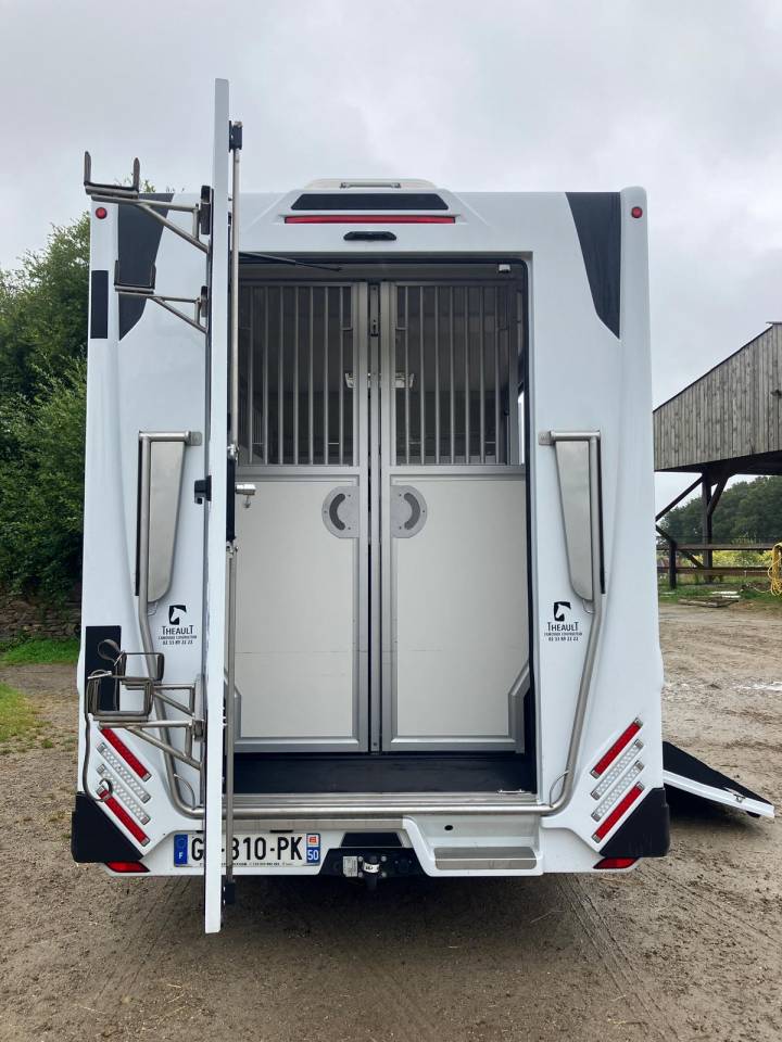 Horsebox HGV Theault Proteo  2025 Used