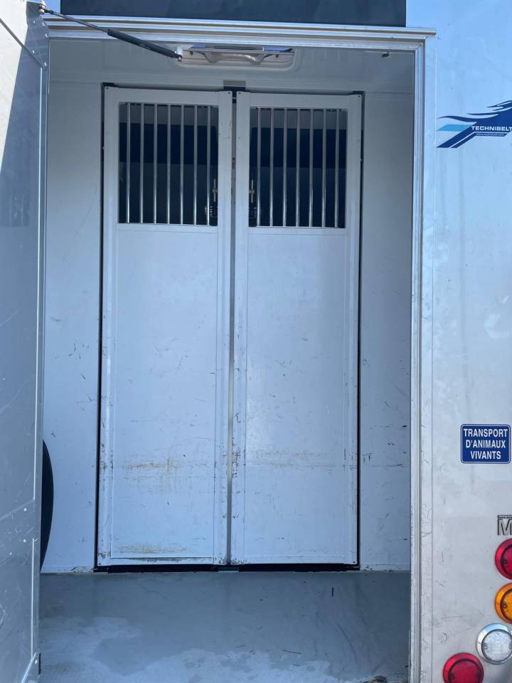 Horsebox HGV MTM  2018 Used