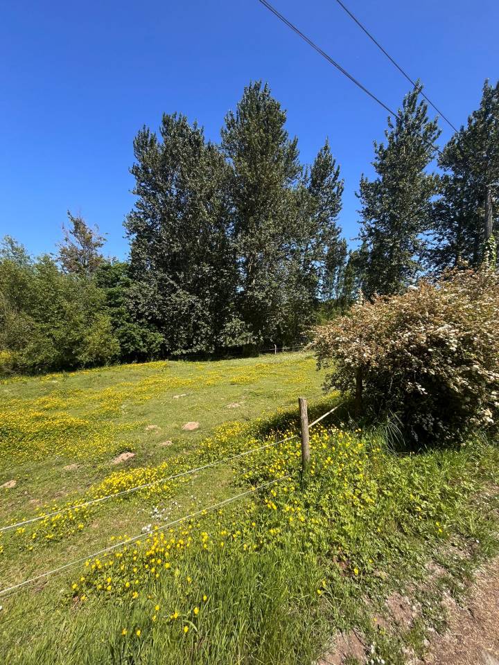 Equestrian property  Ile-et-Vilaine