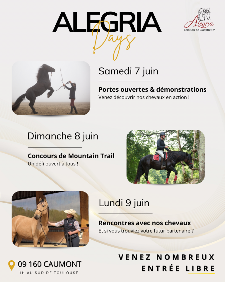 Mare Mérens For sale 2024 Black