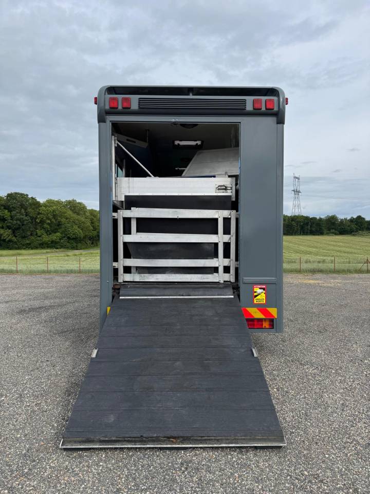 Horsebox NON-HGV Mercedes MERCEDES 2000 Used