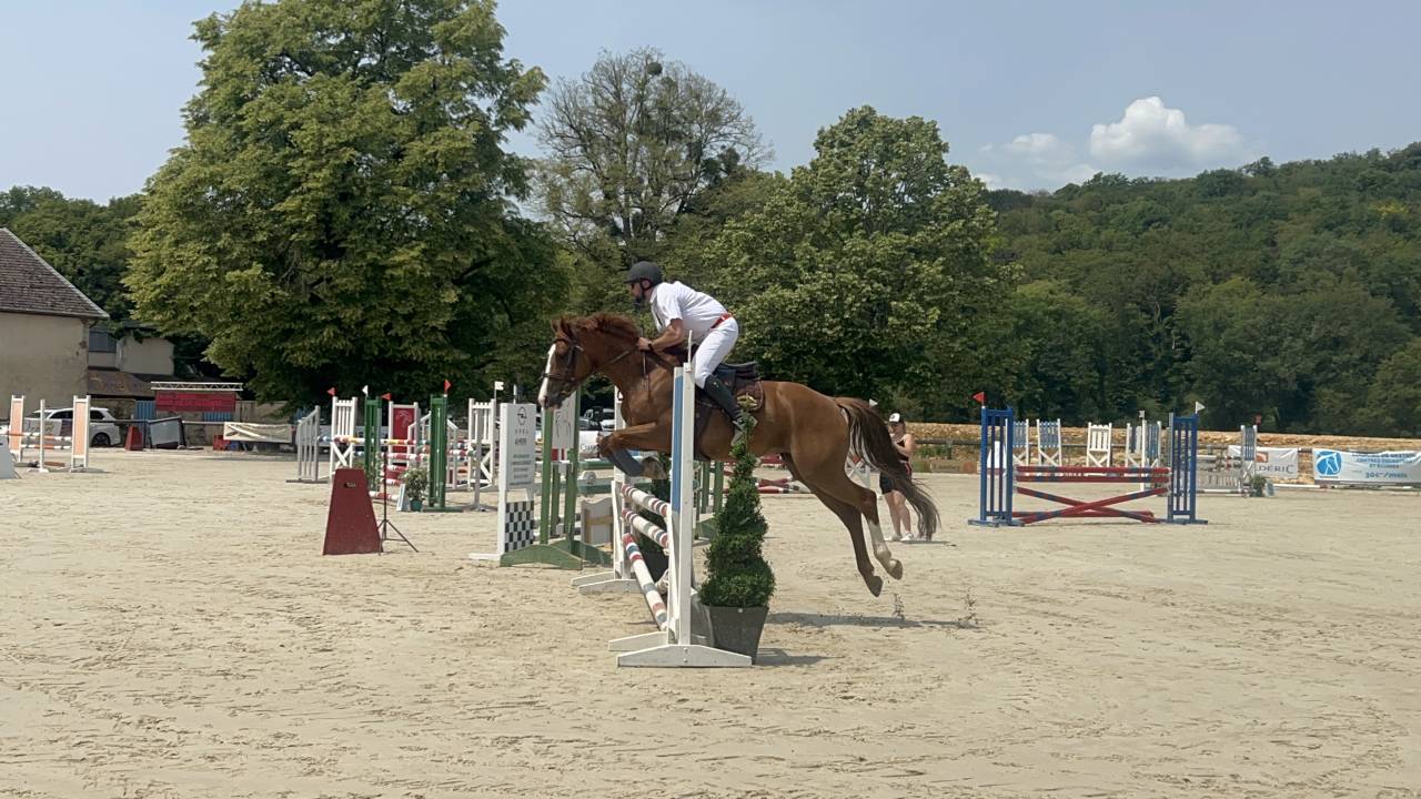 Mare Origin Recorded For sale 2018 Chesnut