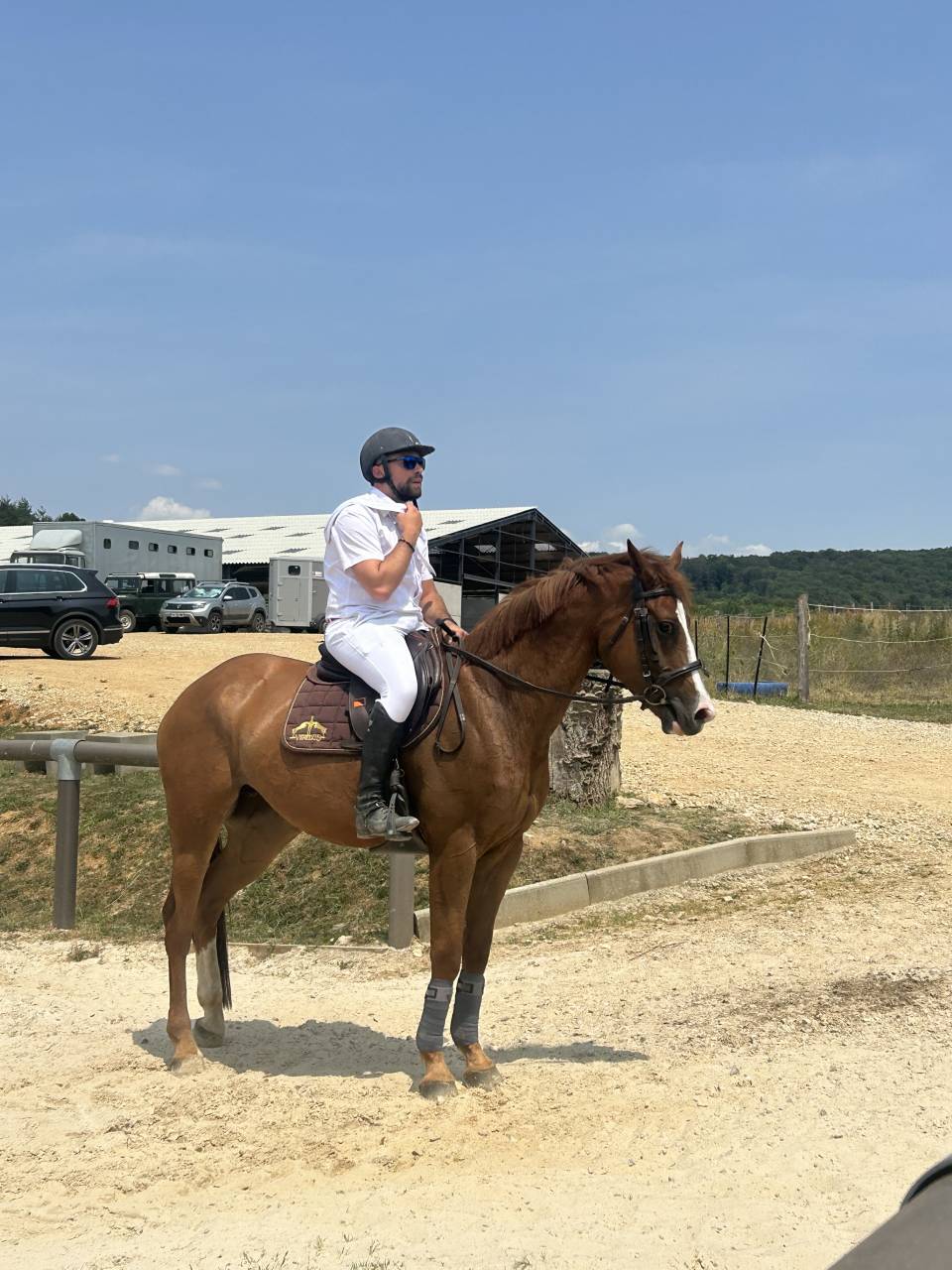 Mare Origin Recorded For sale 2018 Chesnut