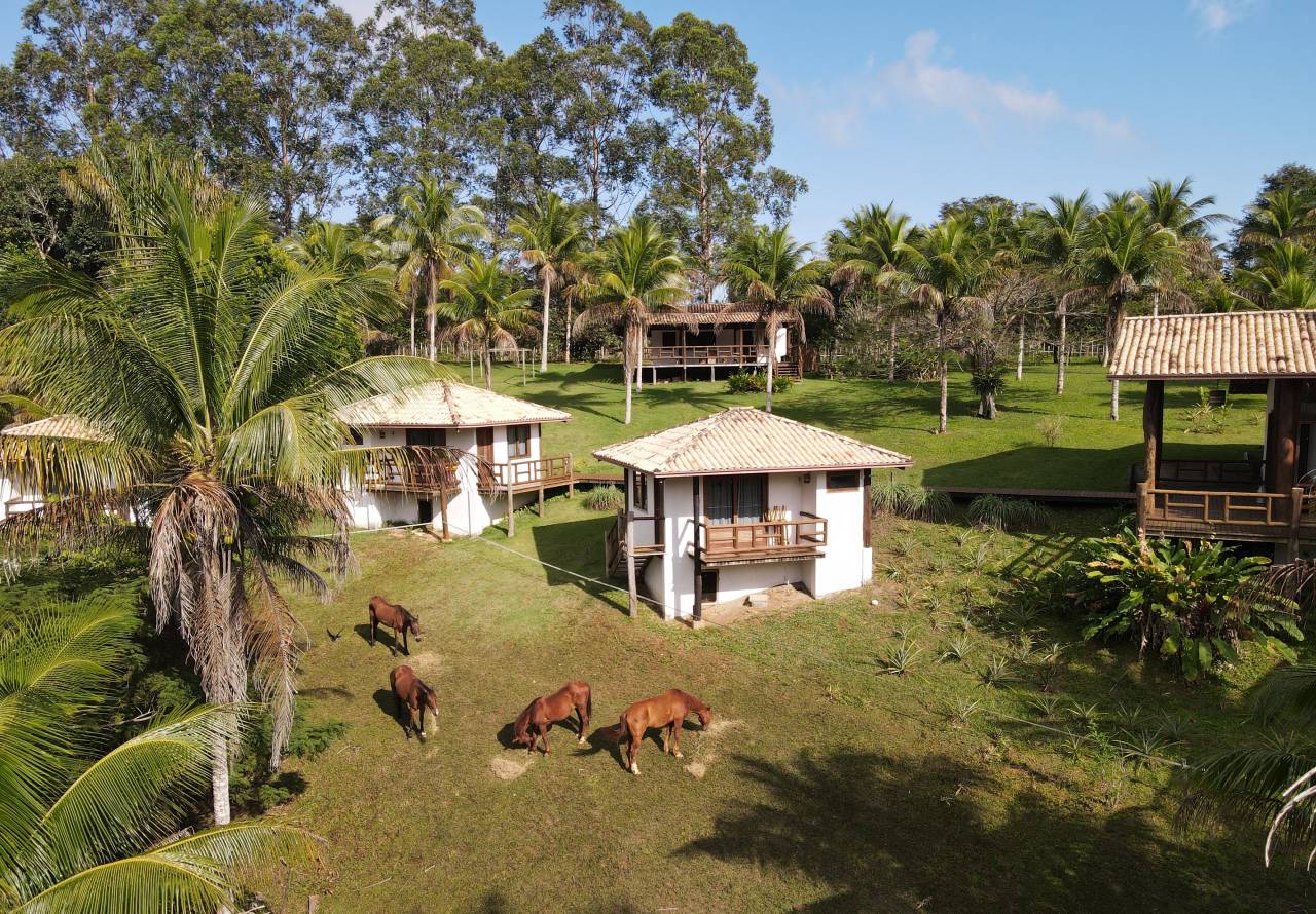 Equestrian farm  