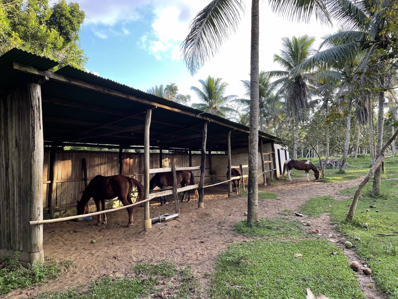 Equestrian farm  