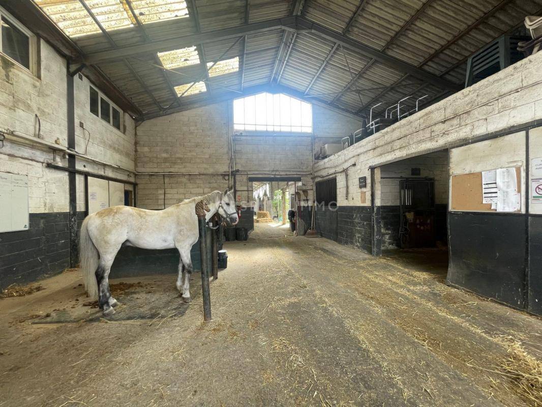 Stud farm  Essonne