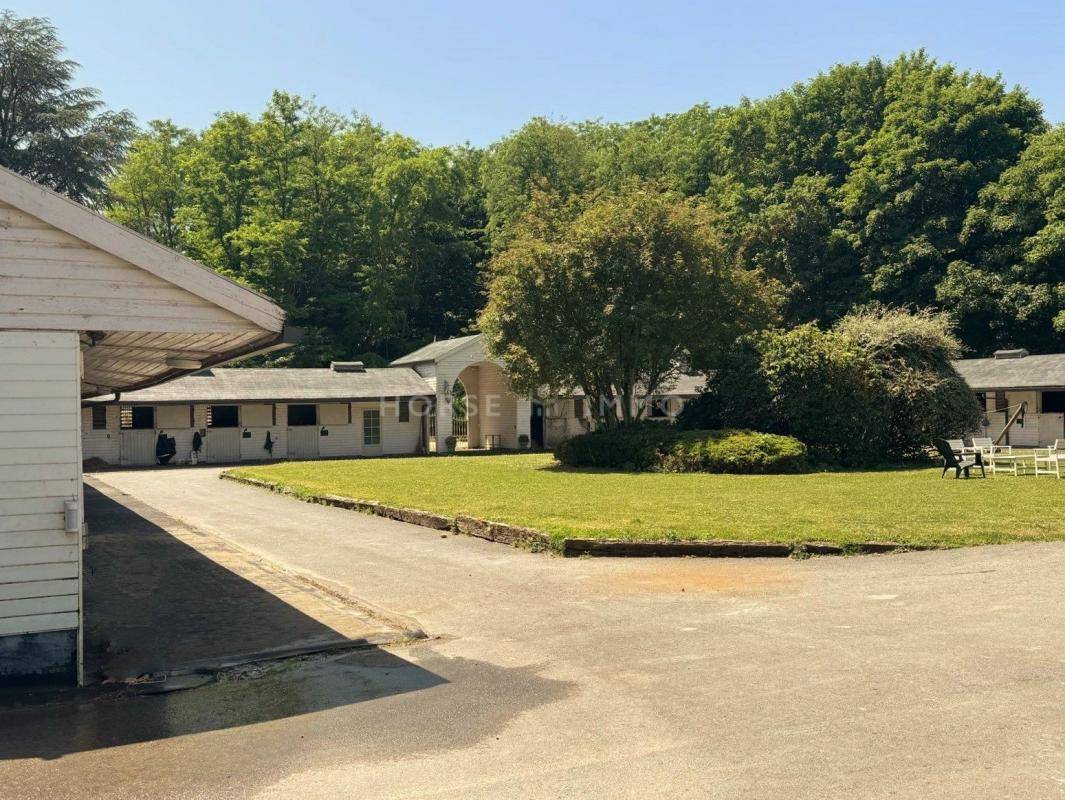 Stud farm  Seine-et-Marne