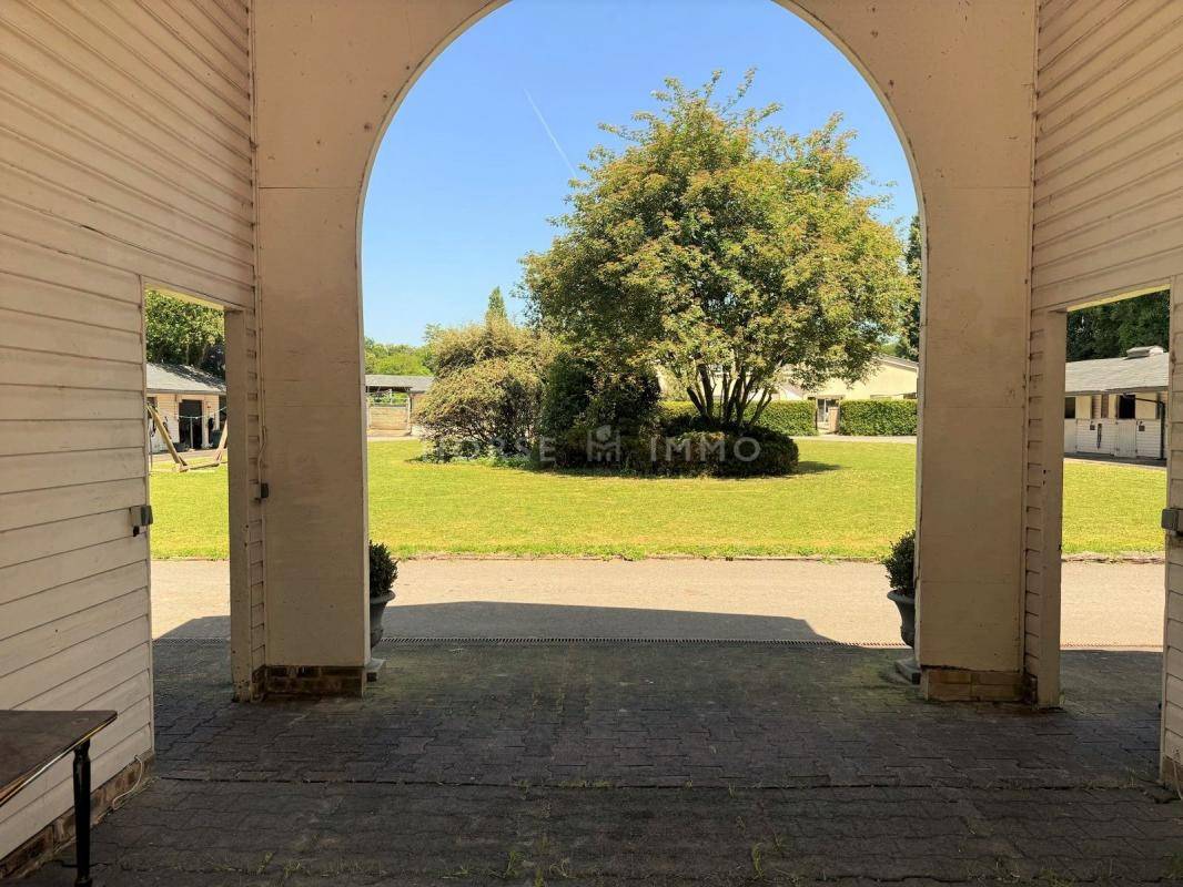 Stud farm  Seine-et-Marne