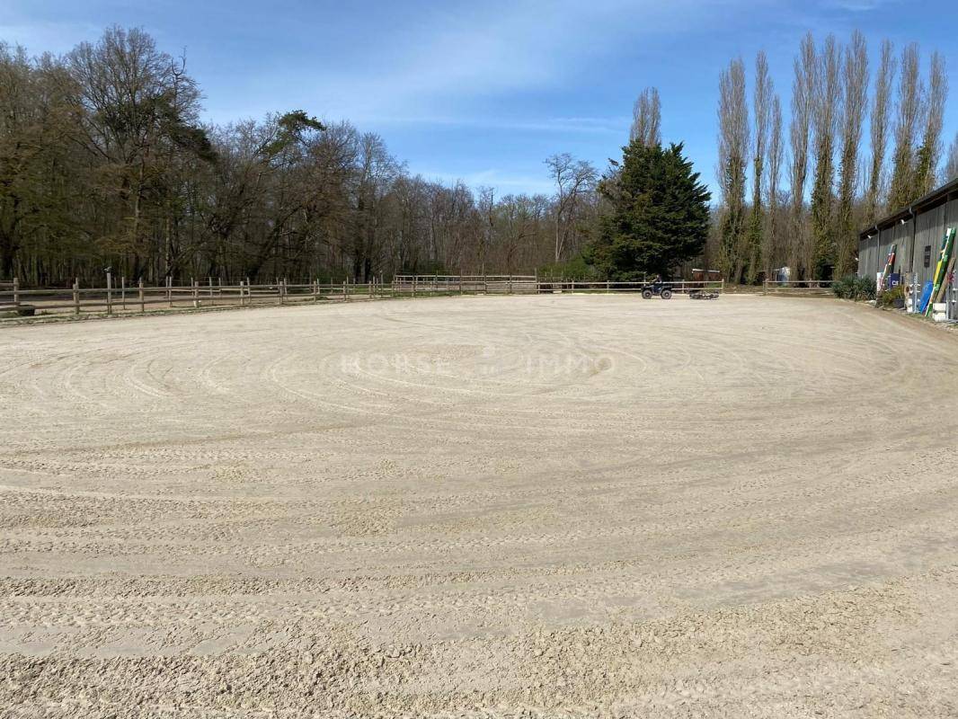 Stud farm  Seine-et-Marne