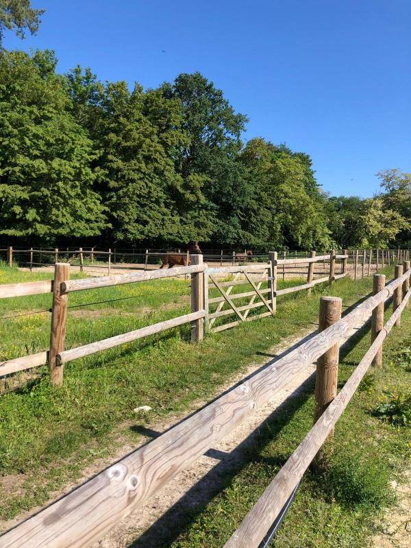 Stud farm  Seine-et-Marne