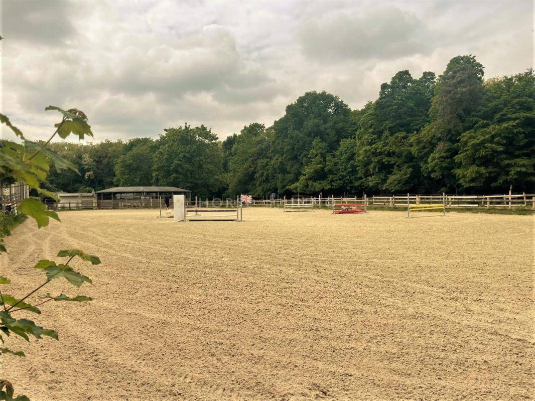 Stud farm  Seine-et-Marne