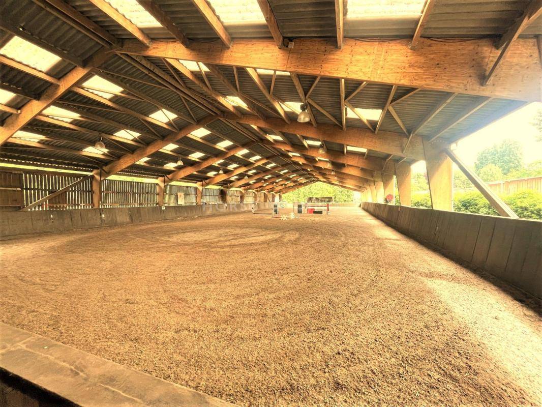 Stud farm  Seine-et-Marne