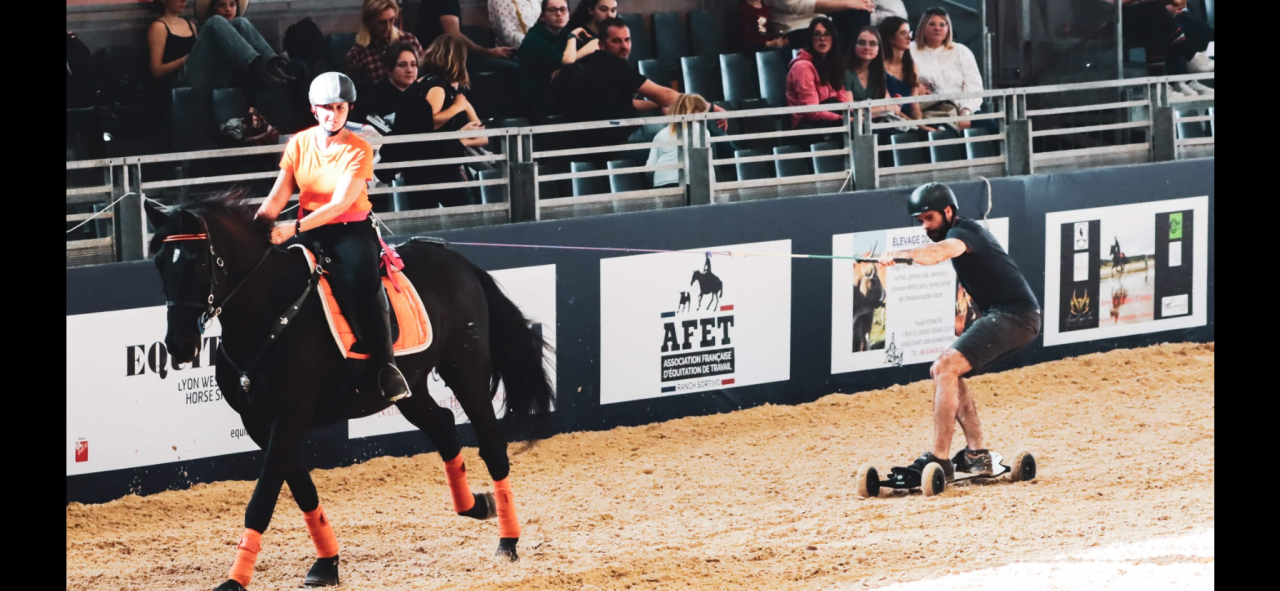 Gelding PRE Pure Spanish Bred For sale 2014 Black