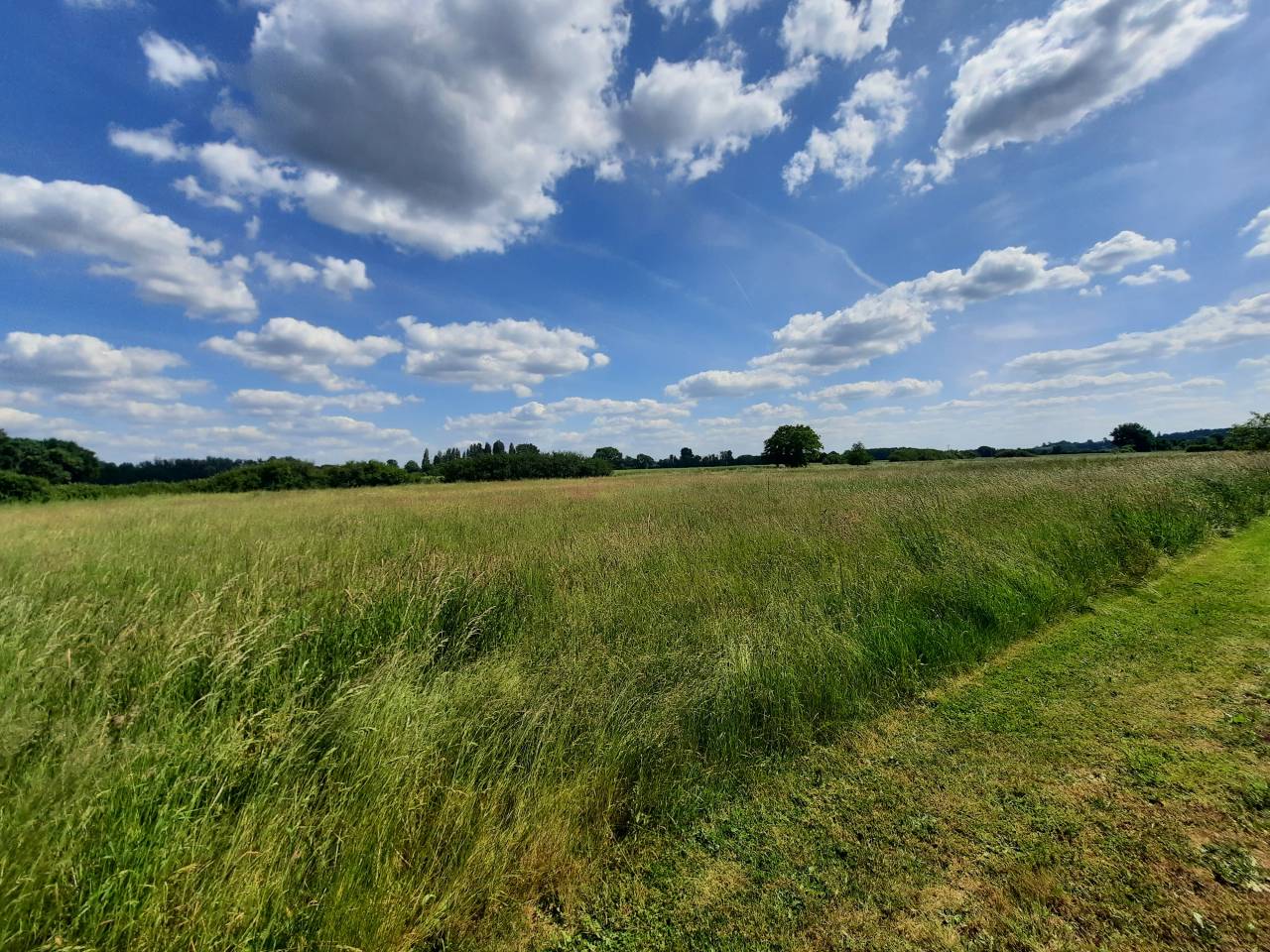 Equestrian property  Cher