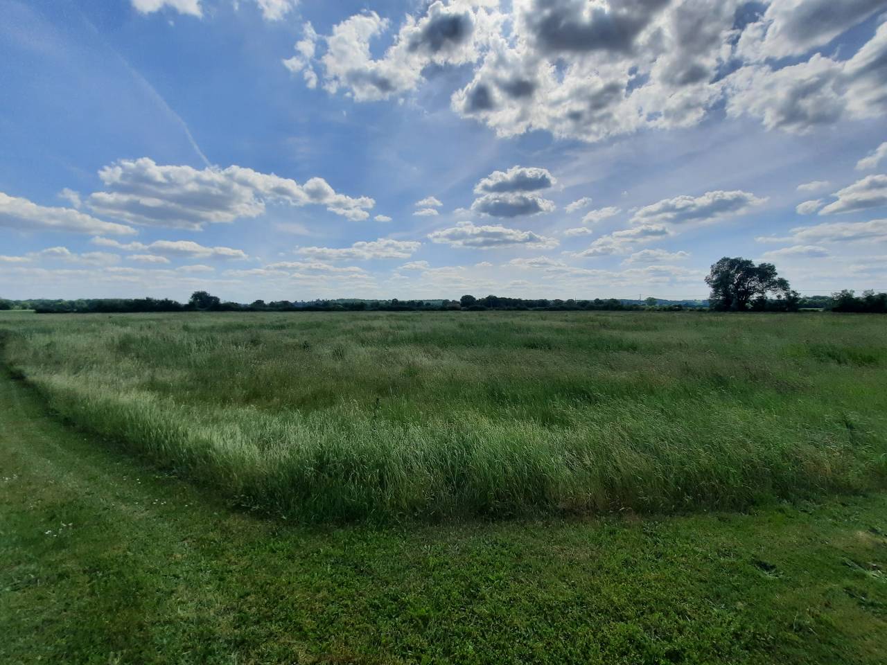 Equestrian property  Cher