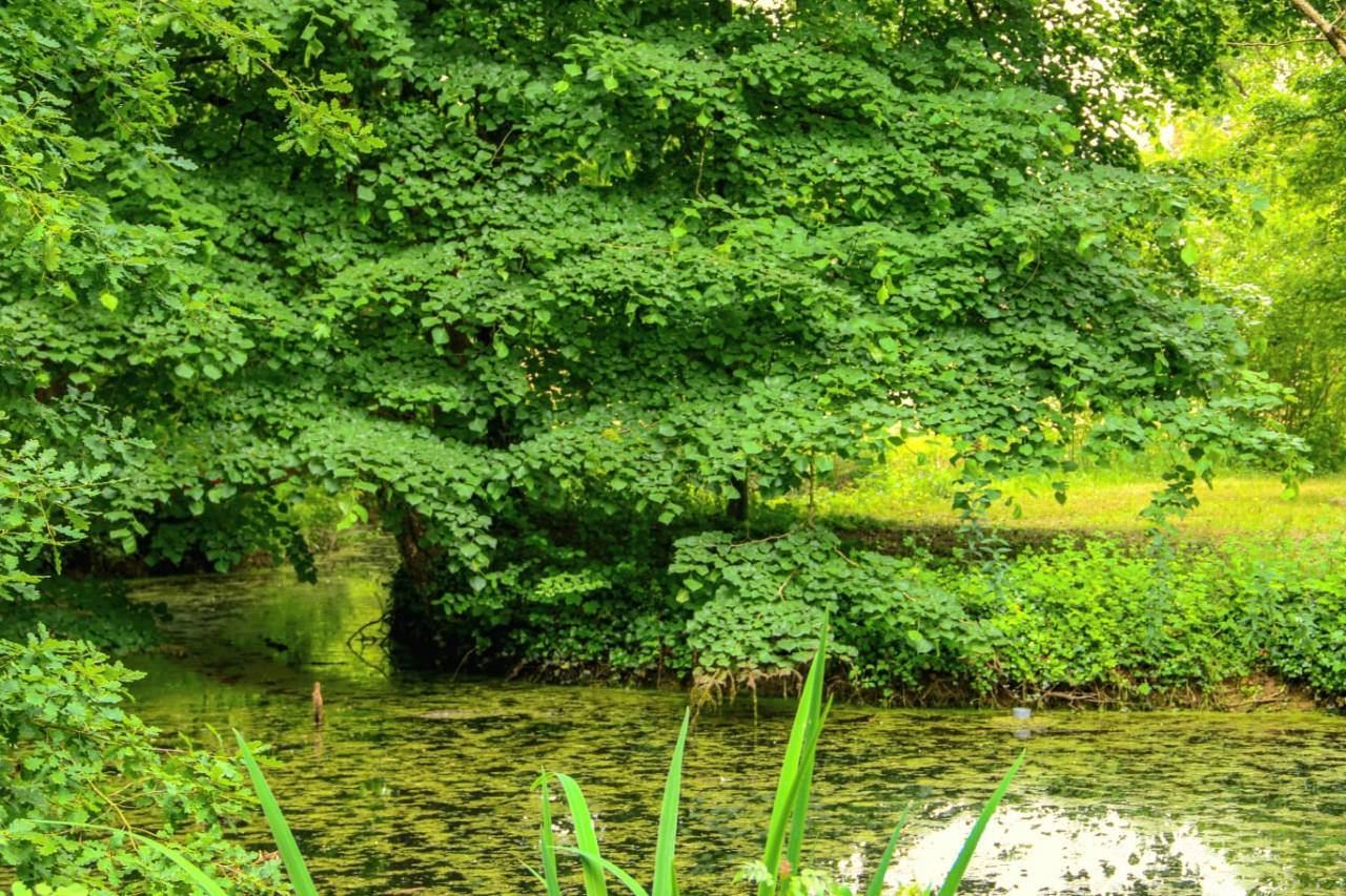 Equestrian property  Cher