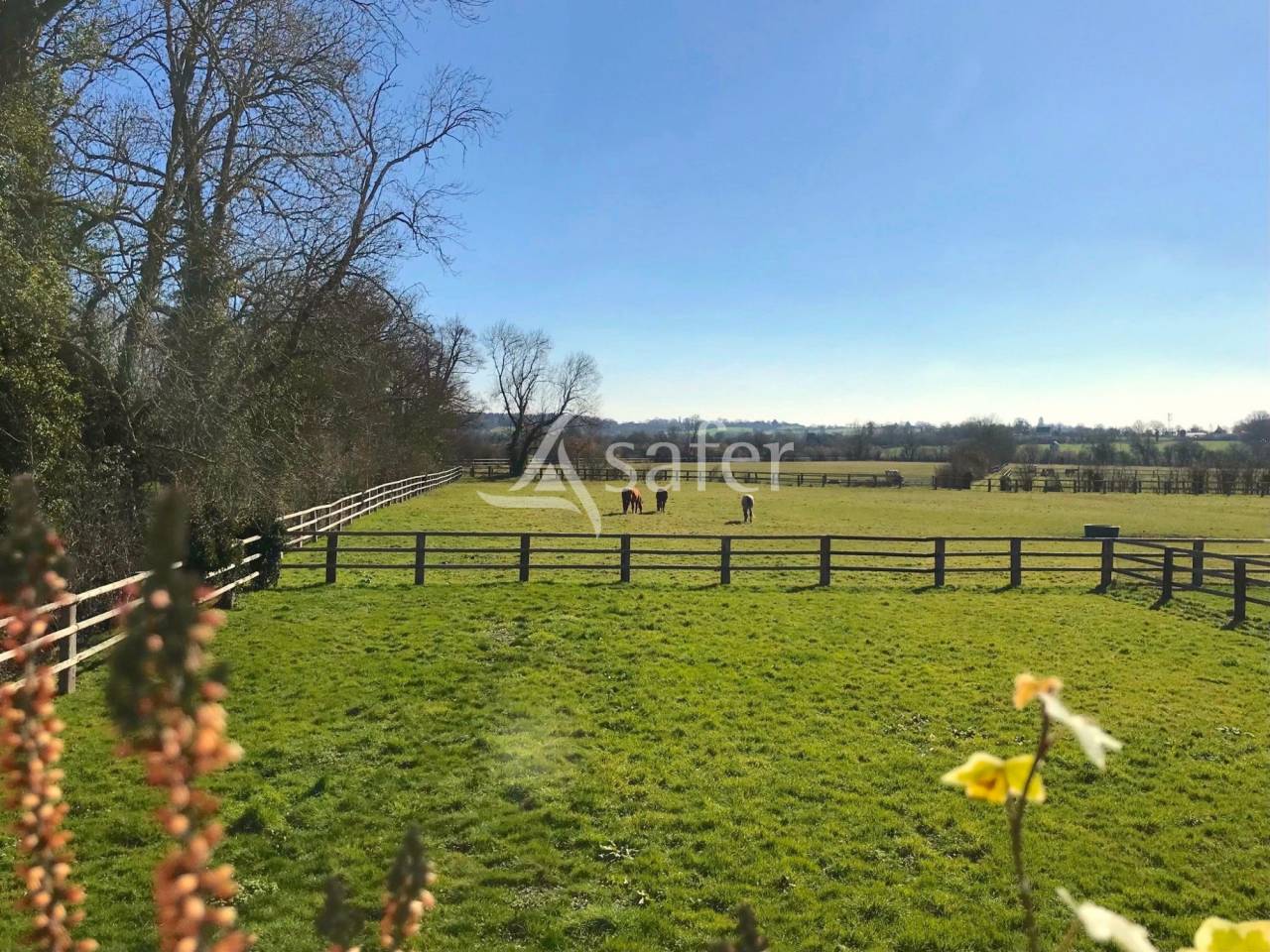 Equestrian property  Calvados
