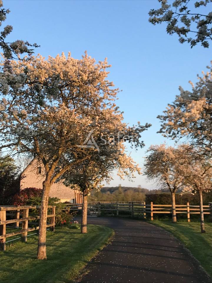Equestrian property  Calvados