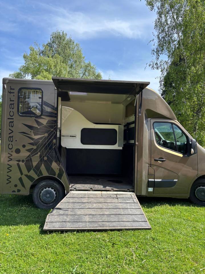 Horsebox HGV Cavalcar OPEL 2018 Used