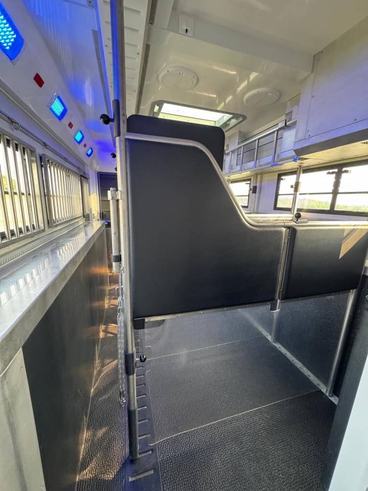 Horsebox NON-HGV STX SCANIA 2020 Used