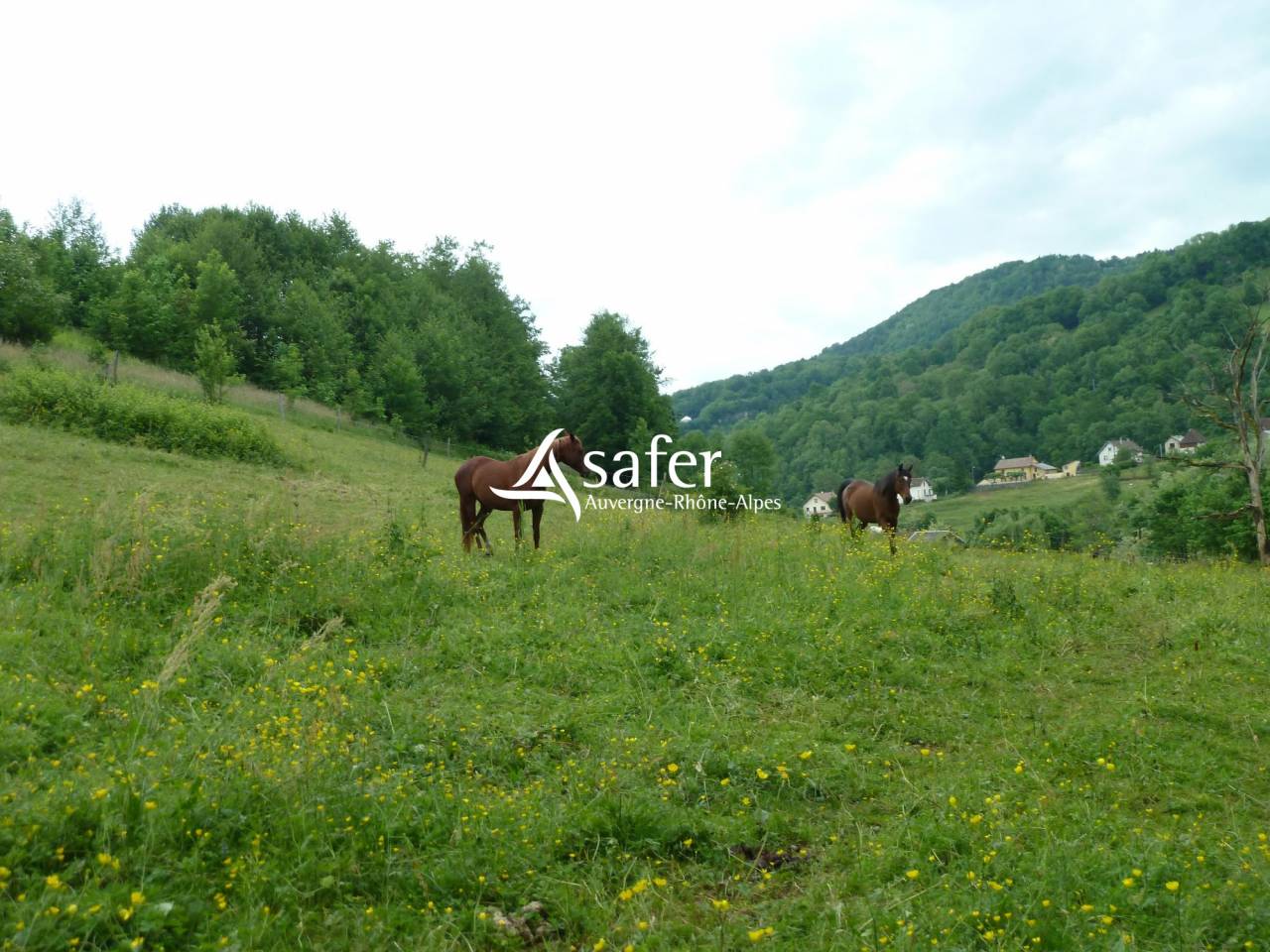 Equestrian property  Savoie