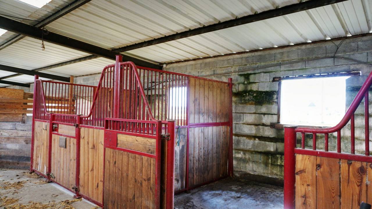 Equestrian property  Indre-et-Loire