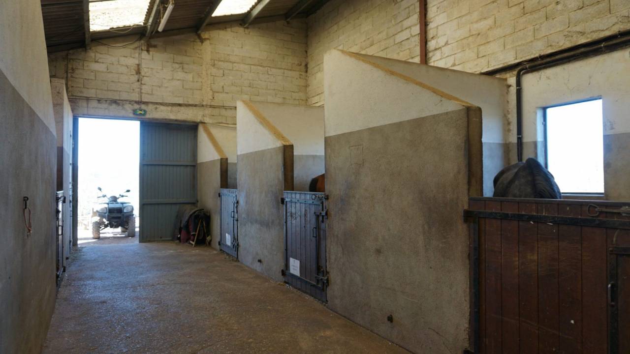 Equestrian Bed and Breakfast  Nièvre